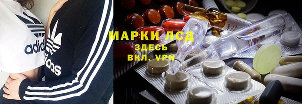 мет Алексин